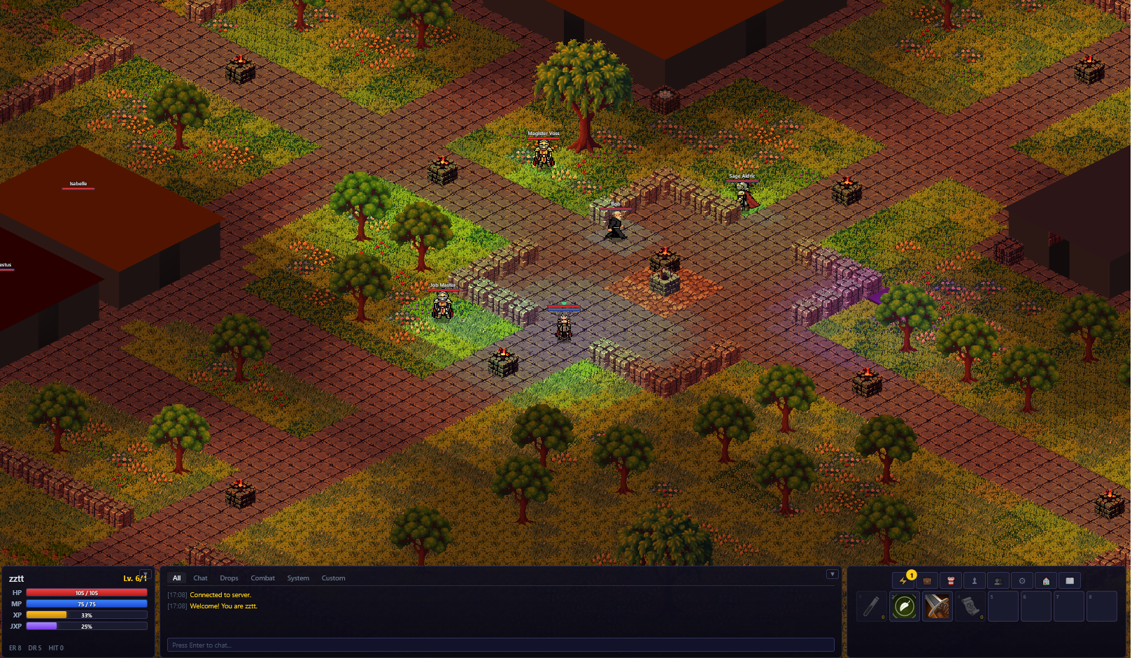 Town area showing the isometric world view with player character and nearby NPCs
